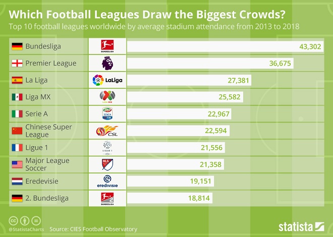 Soccer Infographic